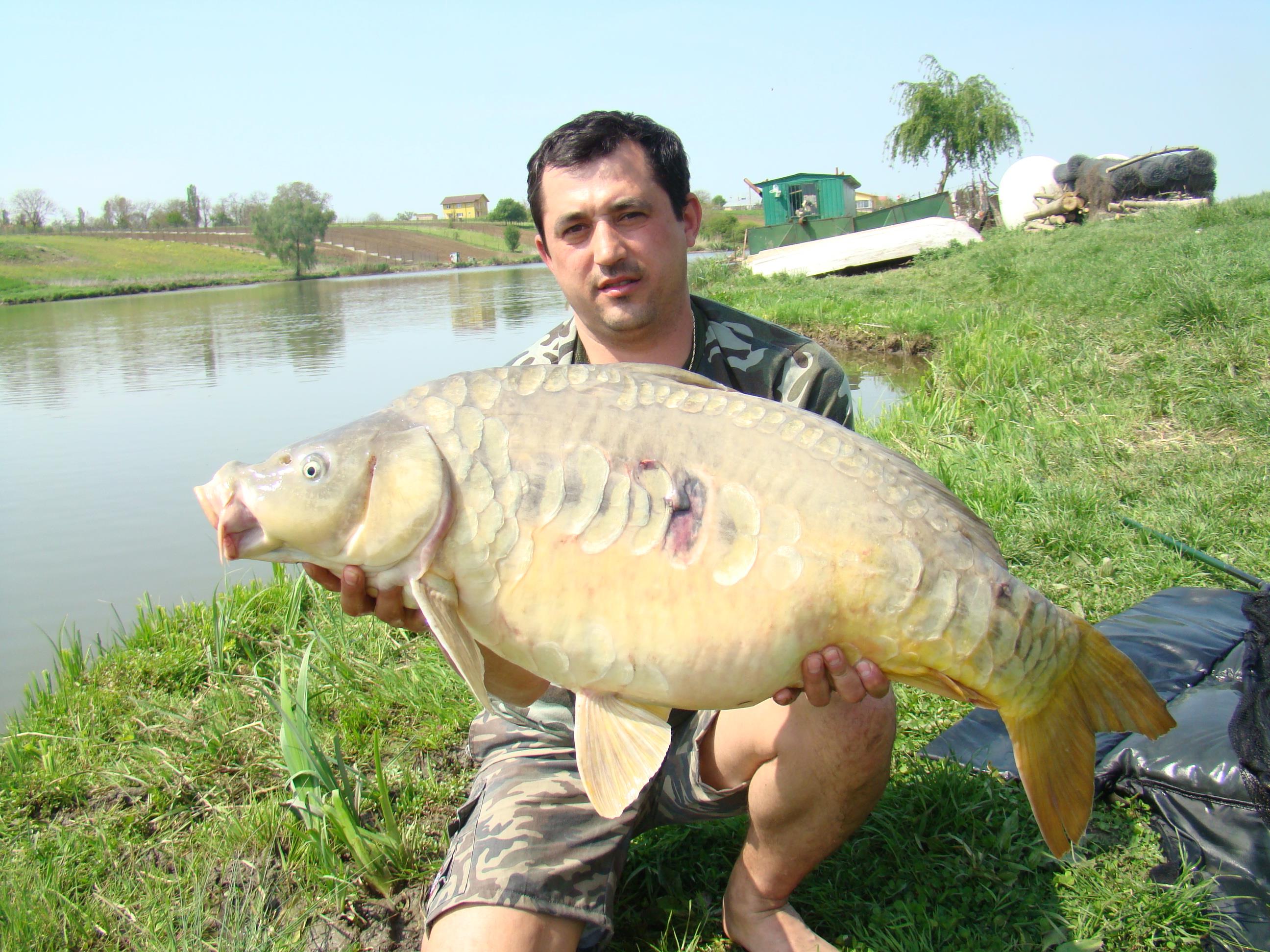 Moara Vlasiei 2 27 - 29 apr.2010 - Captura 16.5 kg